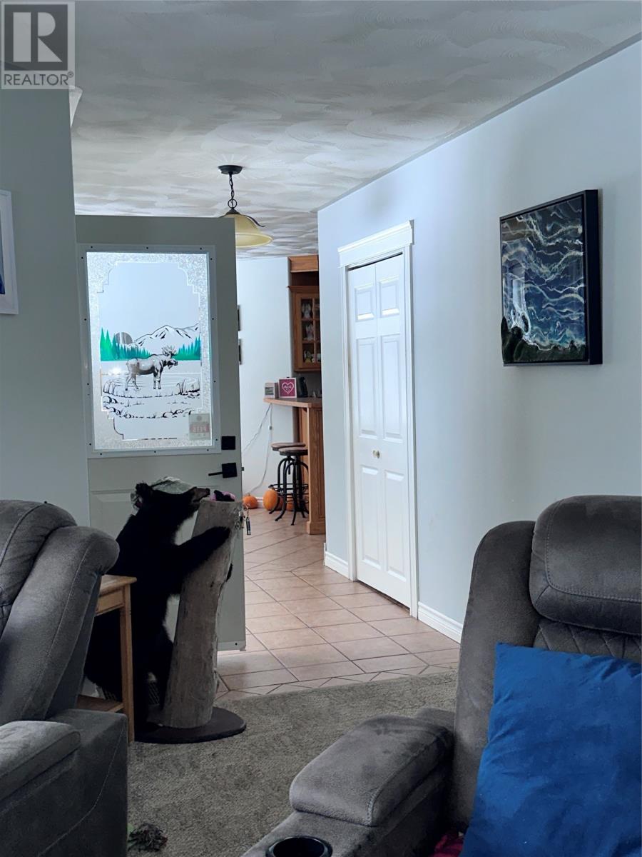 55 Duke Street, Trout River, Newfoundland & Labrador  A0K 5P0 - Photo 7 - 1293698