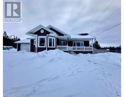 55 Duke Street, Trout River, Newfoundland & Labrador