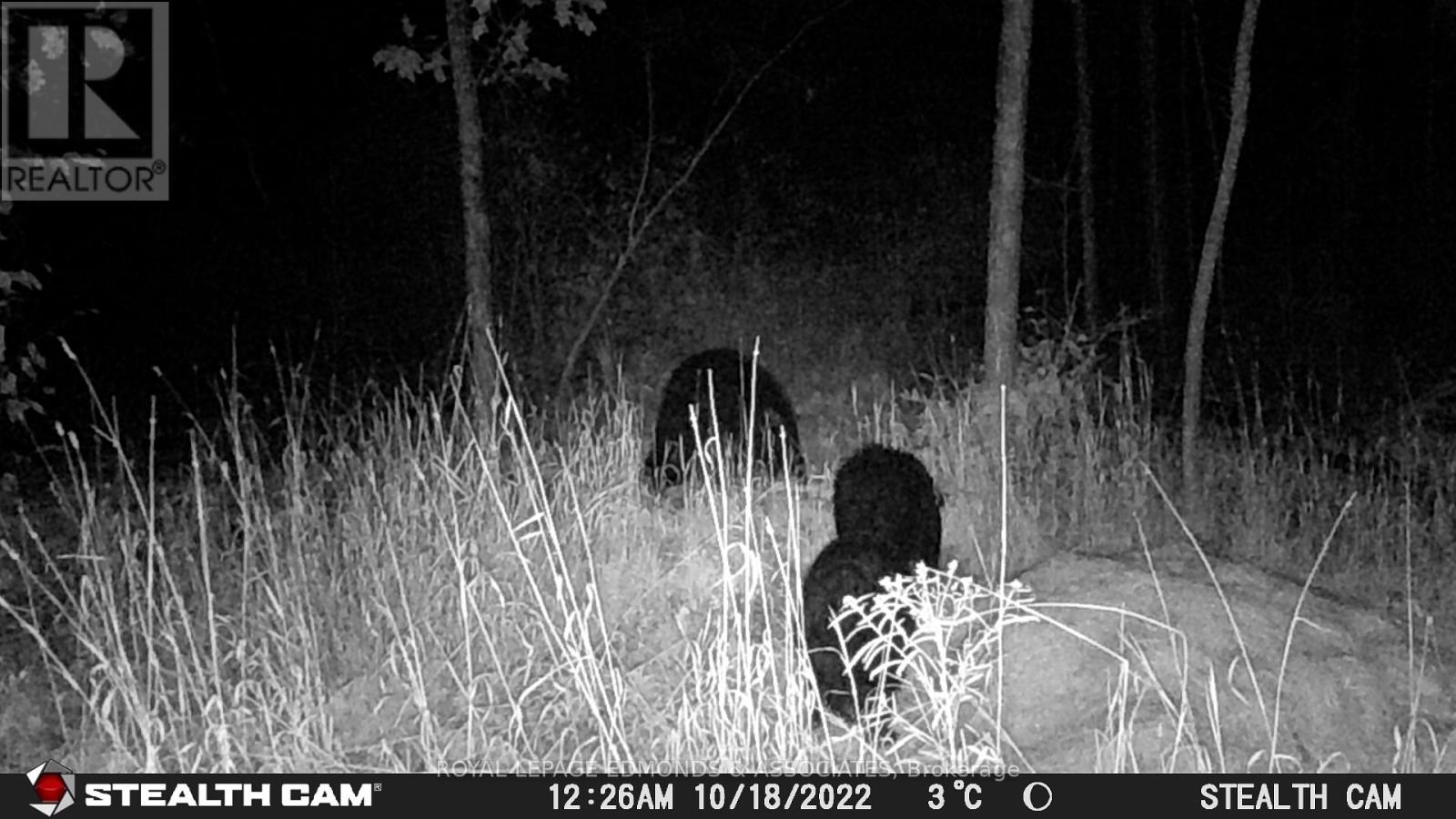 0 Reiche Road, North Algona Wilberforce, Ontario  K8A 6W4 - Photo 24 - X12691376