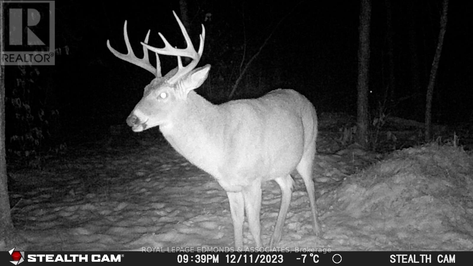 0 Reiche Road, North Algona Wilberforce, Ontario  K8A 6W4 - Photo 26 - X12691376