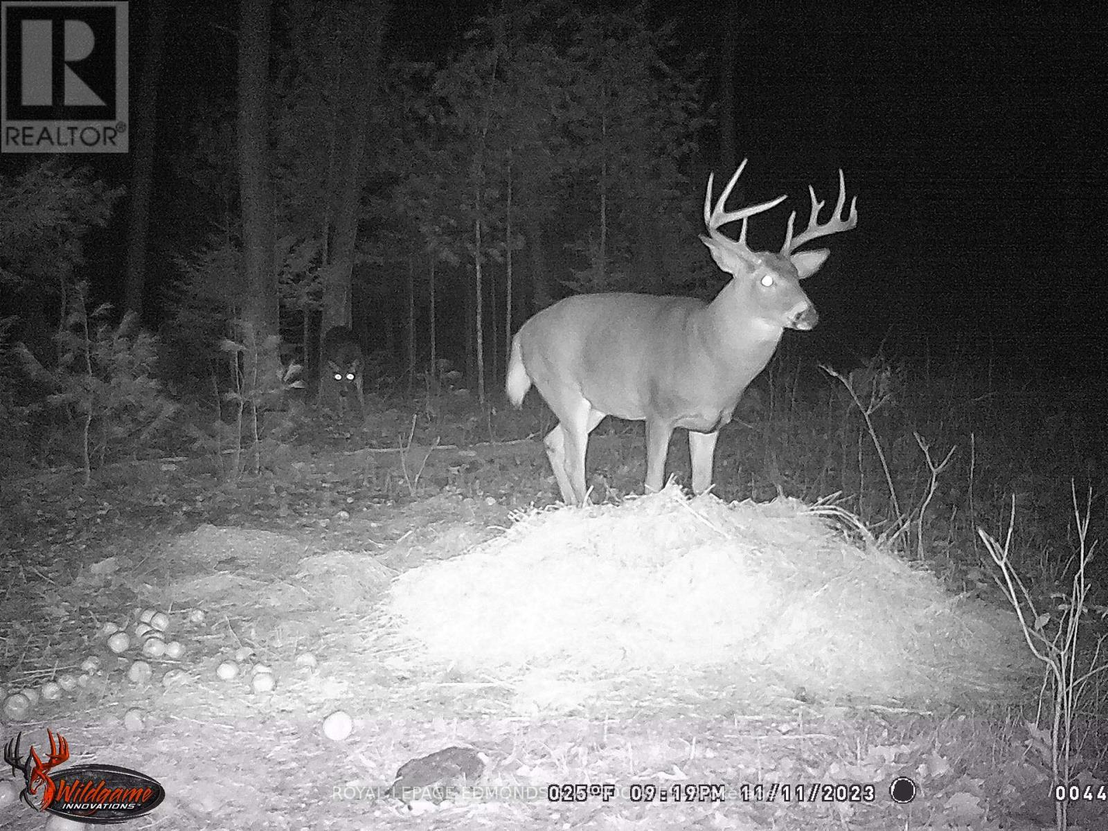 0 Reiche Road, North Algona Wilberforce, Ontario  K8A 6W4 - Photo 27 - X12691376