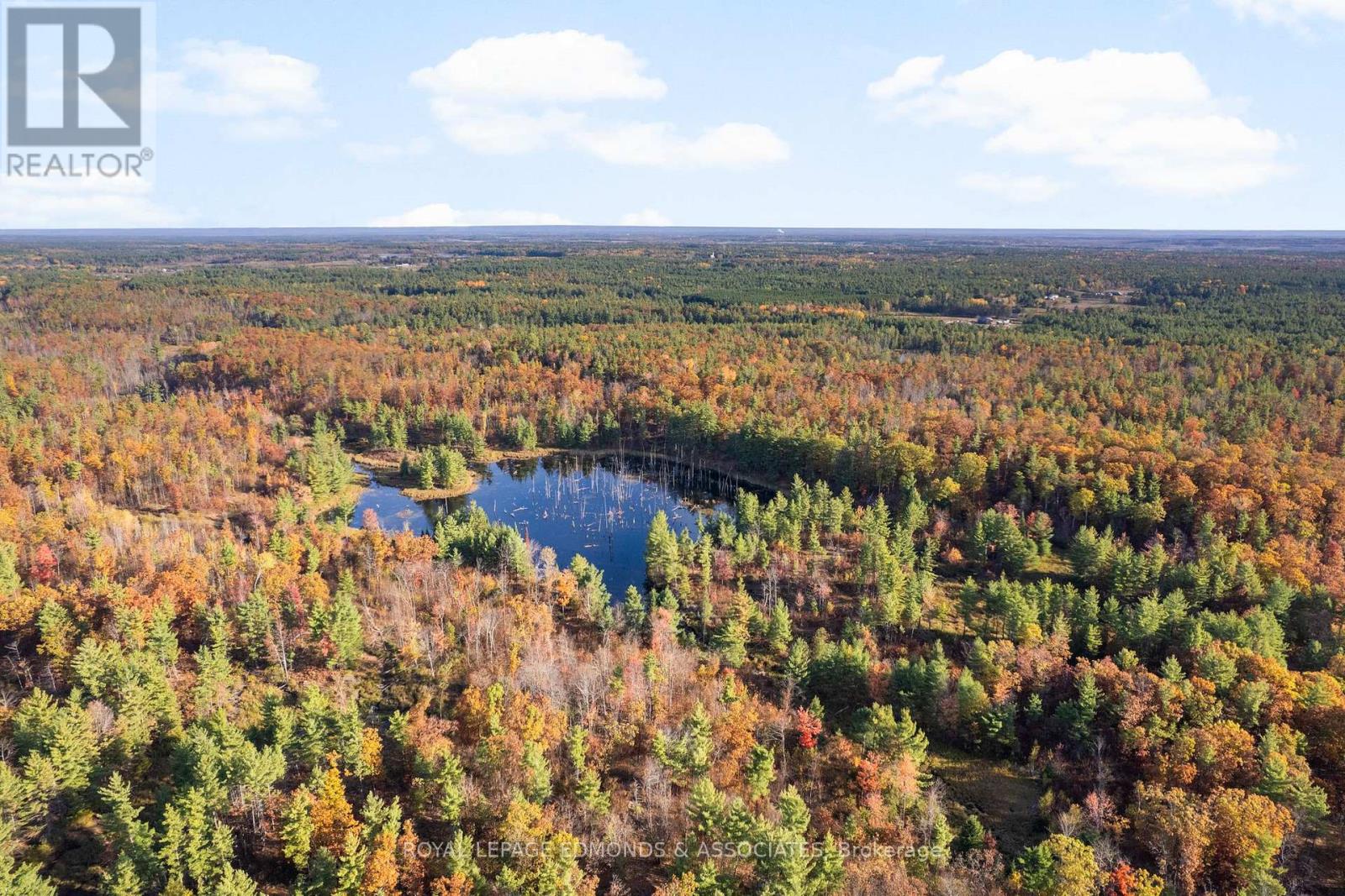 0 Reiche Road, North Algona Wilberforce, Ontario  K8A 6W4 - Photo 3 - X12691376