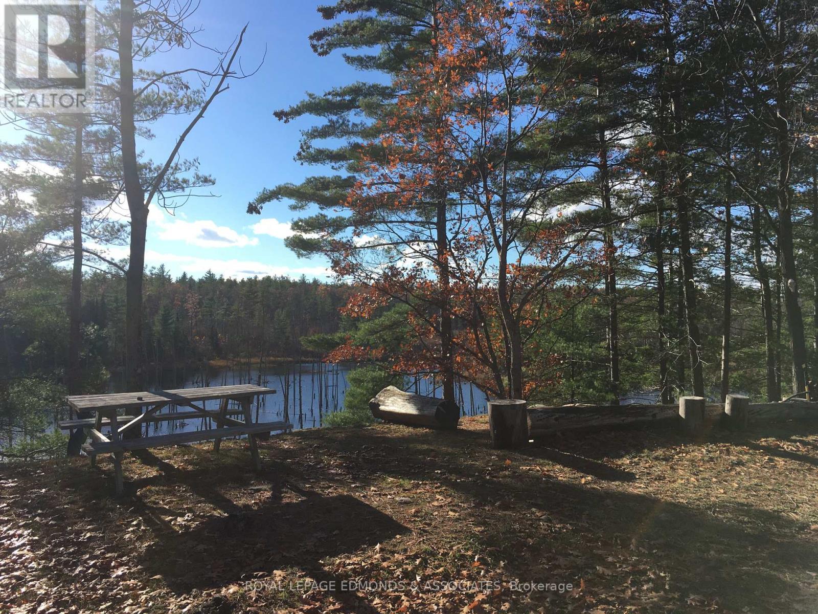 0 Reiche Road, North Algona Wilberforce, Ontario  K8A 6W4 - Photo 32 - X12691376