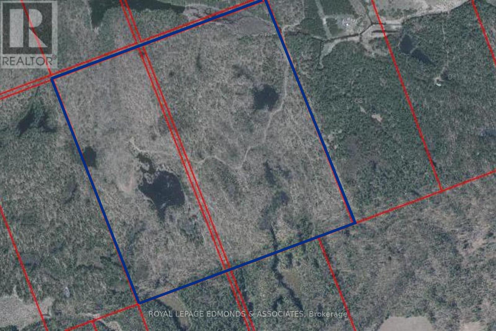 0 Reiche Road, North Algona Wilberforce, Ontario  K8A 6W4 - Photo 5 - X12691376