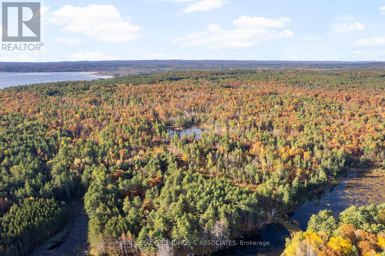 0 Reiche Road, North Algona Wilberforce, Ontario  K8A 6W4 - Photo 7 - X12691376