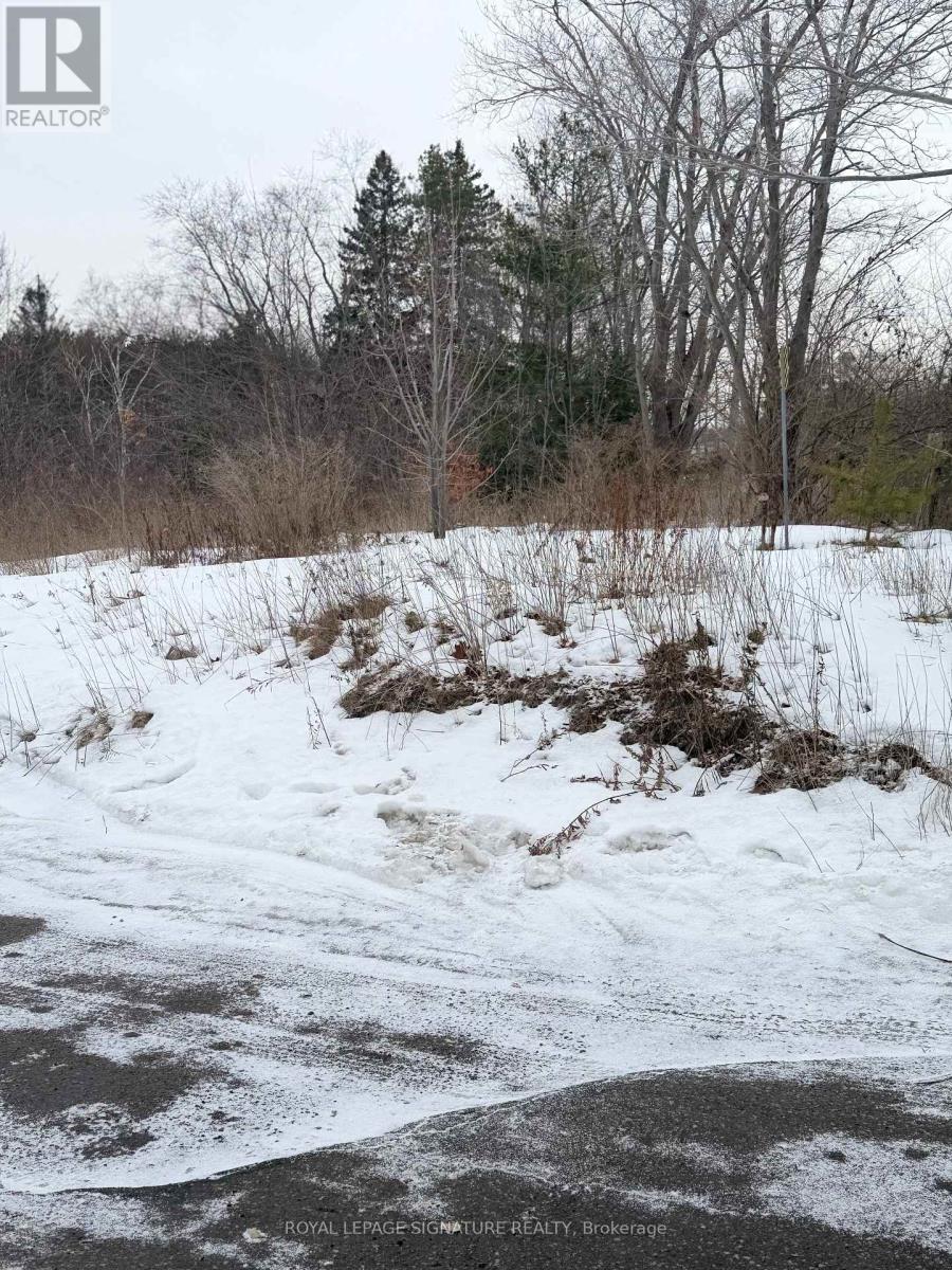 669 Taunton Road W, Ajax, Ontario  L1T 4R6 - Photo 4 - E12691286