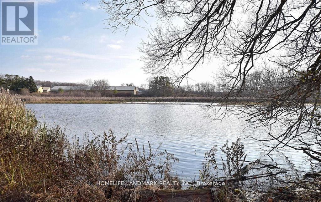 Above Ground - 110 Front Street E, Whitby, Ontario  L1N 1A1 - Photo 15 - E12691360