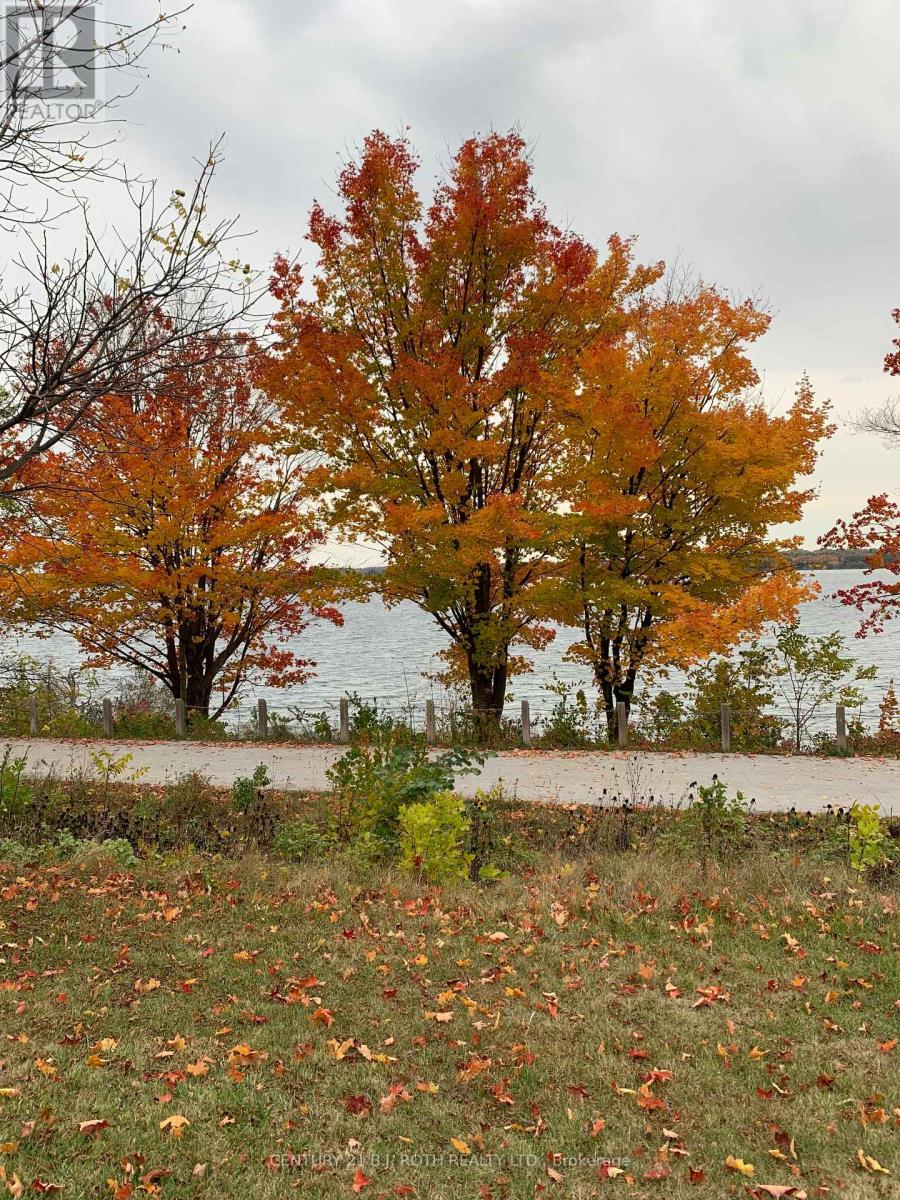 14 St Vincent Street, Barrie, Ontario  L4M 3Y2 - Photo 41 - S12635858