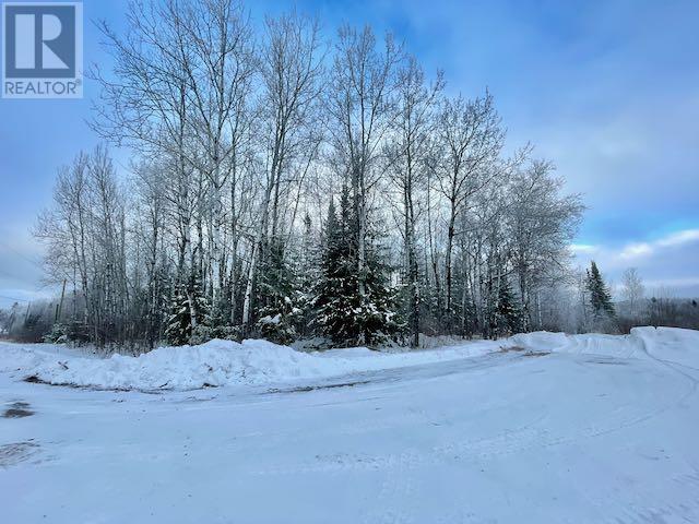 199 Lakeview Rd, Dryden, Ontario  P8N 2Y4 - Photo 1 - TB2600055