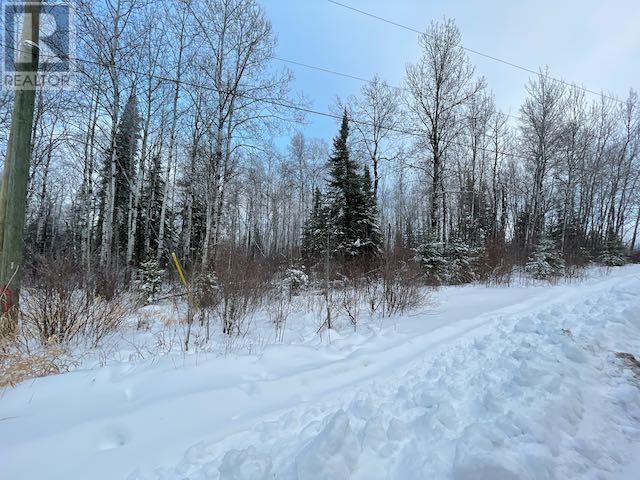 199 Lakeview Rd, Dryden, Ontario  P8N 2Y4 - Photo 3 - TB2600055