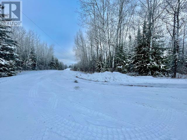 199 Lakeview Rd, Dryden, Ontario  P8N 2Y4 - Photo 2 - TB2600055