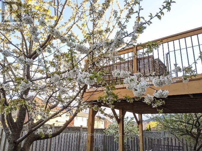 183 Ravineview Drive, Vaughan, Ontario  L6A 3T2 - Photo 19 - N12691528