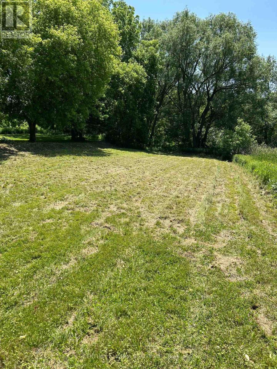 417 Bloor Street E, Oshawa (Lakeview), Ontario  L1H 3M9 - Photo 27 - E12378176