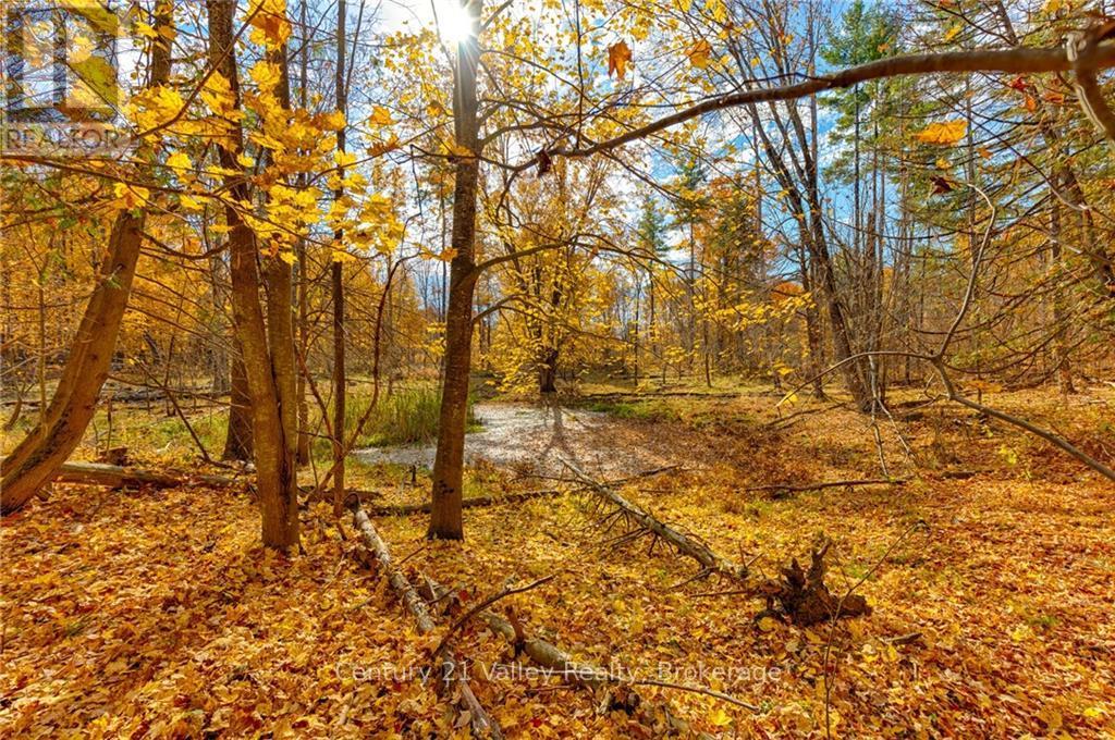 330 Island View Drive, North Algona Wilberforce, Ontario  K0J 1X0 - Photo 21 - X9524088