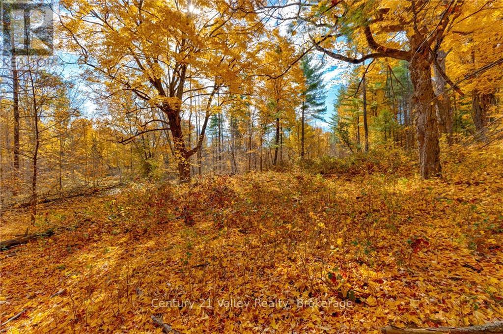 330 Island View Drive, North Algona Wilberforce, Ontario  K0J 1X0 - Photo 20 - X9524088