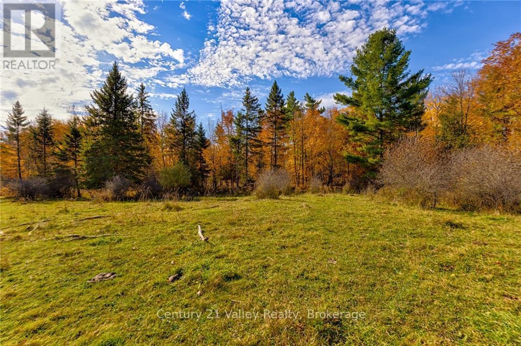 330 Island View Drive, North Algona Wilberforce, Ontario  K0J 1X0 - Photo 22 - X9524088