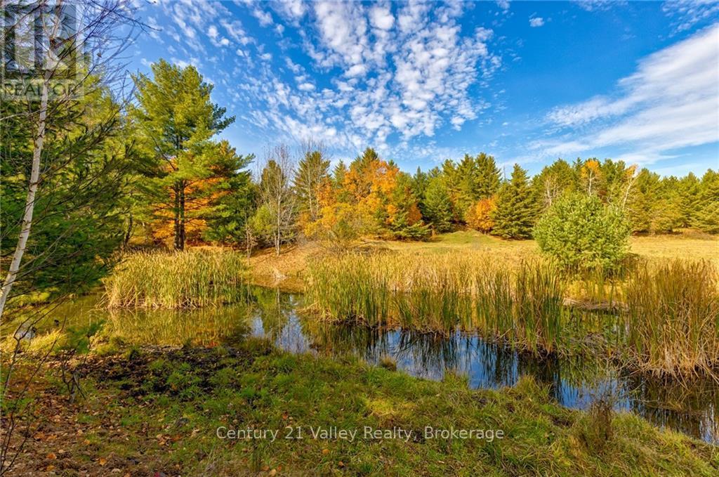 330 Island View Drive, North Algona Wilberforce, Ontario  K0J 1X0 - Photo 24 - X9524088