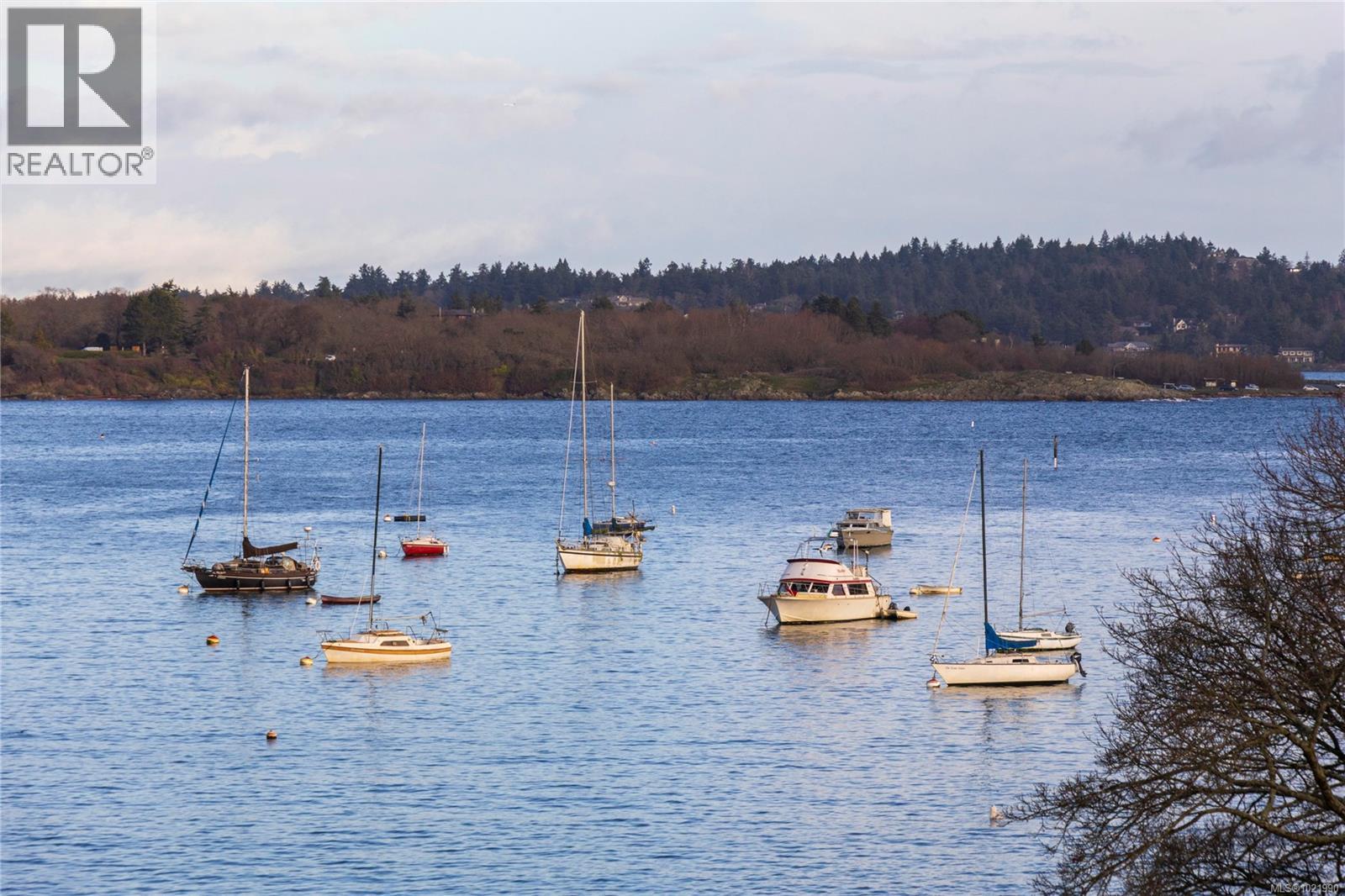 503 2605 Windsor Rd, Oak Bay, British Columbia  V8S 5H9 - Photo 40 - 1021990