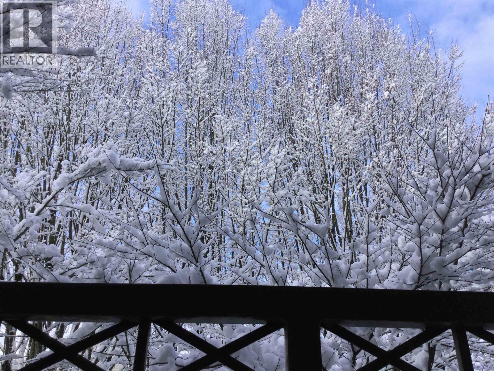 307 8495 Jellicoe Street, Vancouver, British Columbia  V5S 2J4 - Photo 18 - R3078885