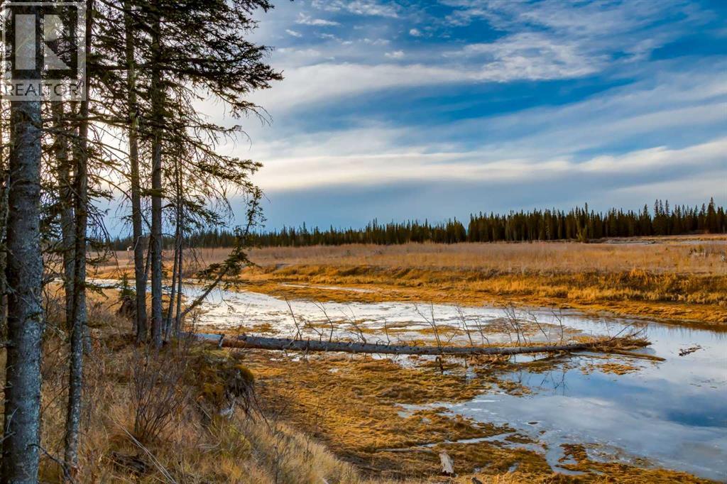 10, 32376 Highway 760, Rural Mountain View County, Alberta  T0M 1X0 - Photo 41 - A2271485