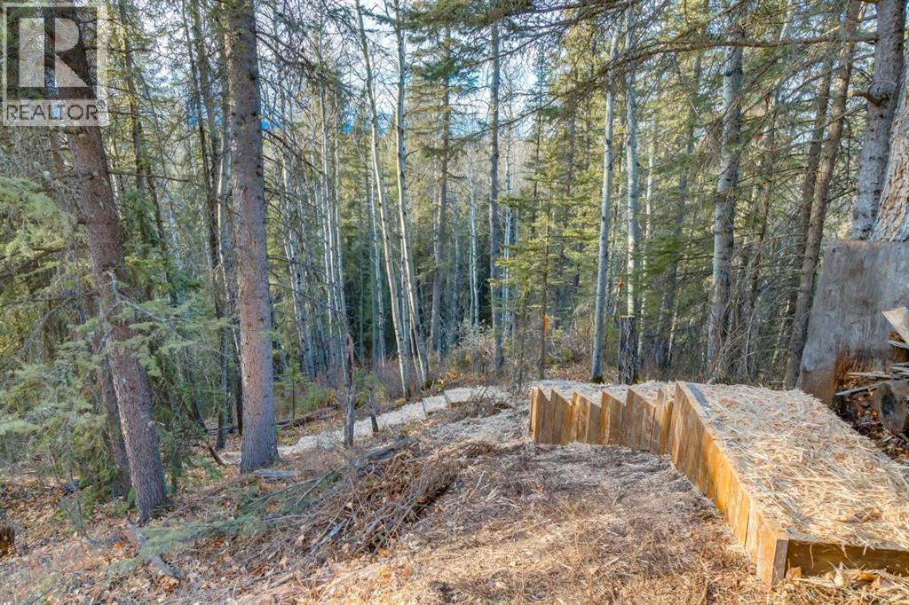 10, 32376 Highway 760, Rural Mountain View County, Alberta  T0M 1X0 - Photo 39 - A2271485