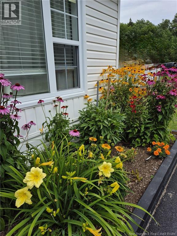 431 Osmond Lane, Fredericton, New Brunswick E3B 7L4 - Photo 17 - NB132065