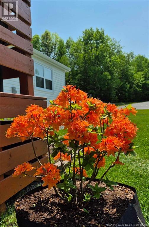 431 Osmond Lane, Fredericton, New Brunswick E3B 7L4 - Photo 18 - NB132065