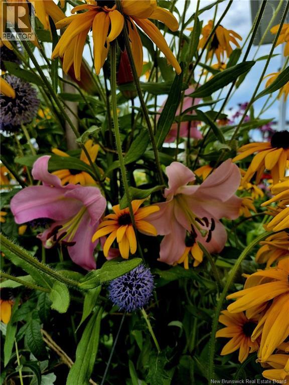 431 Osmond Lane, Fredericton, New Brunswick E3B 7L4 - Photo 19 - NB132065