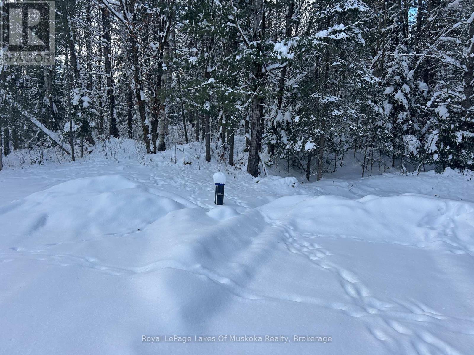 286 Clearwater Lake Road, Huntsville (Stephenson), Ontario  P0B 1L0 - Photo 22 - X12691870