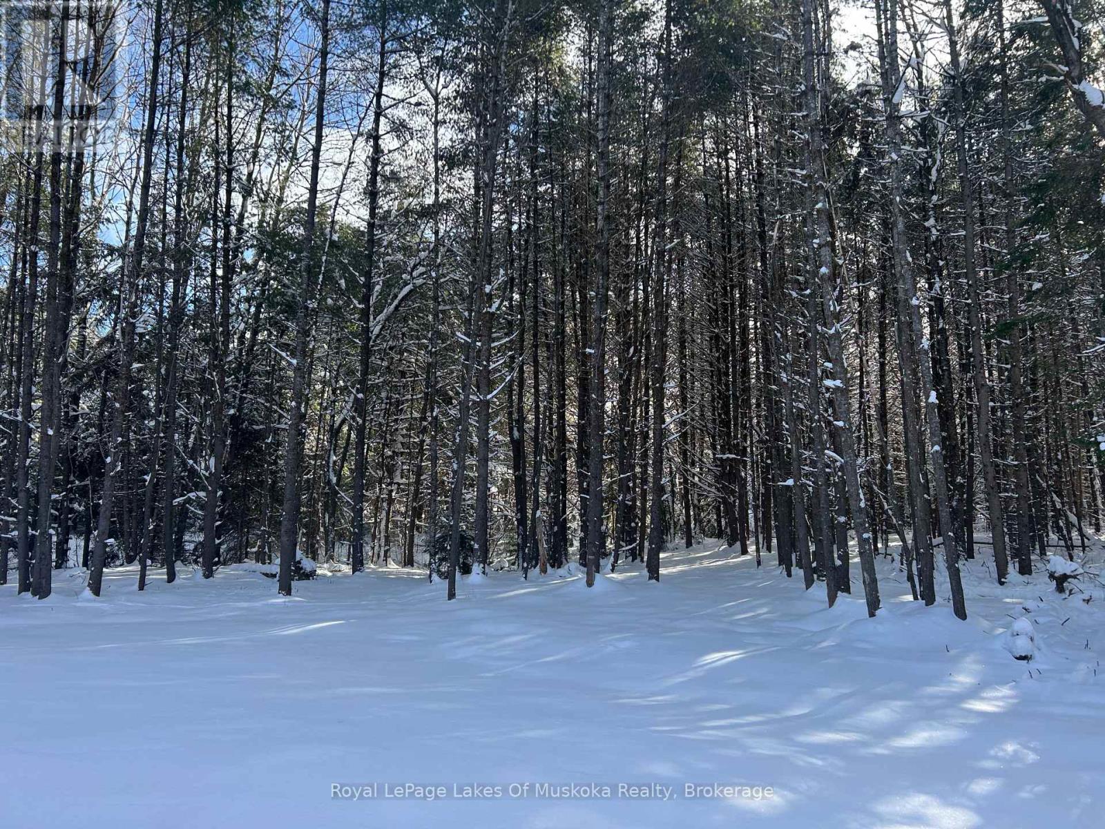 286 Clearwater Lake Road, Huntsville (Stephenson), Ontario  P0B 1L0 - Photo 4 - X12691870