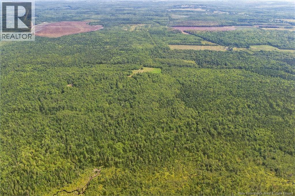 Lot Richard Road, Saint-Paul, New Brunswick  E4T 3T5 - Photo 22 - NB132061