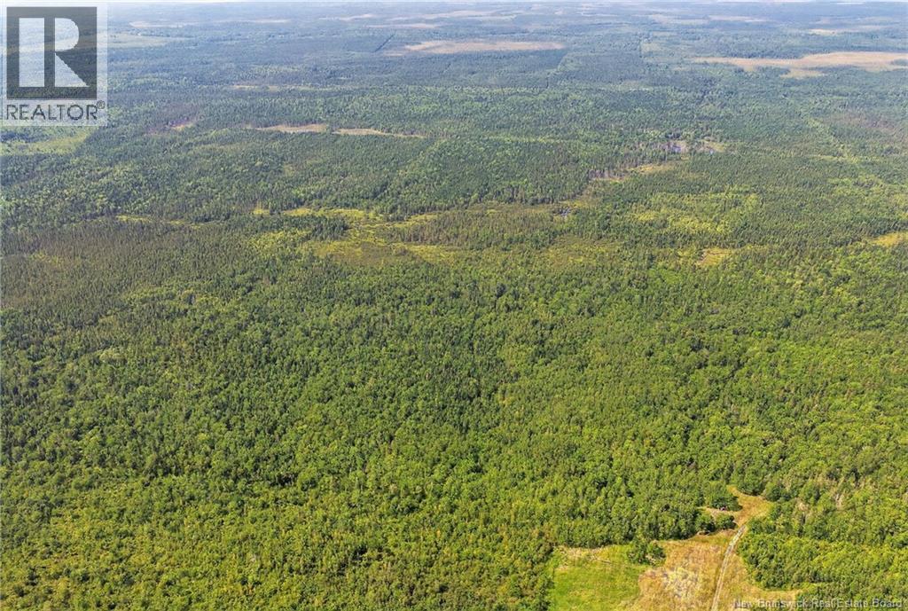 Lot Richard Road, Saint-Paul, New Brunswick  E4T 3T5 - Photo 12 - NB132061