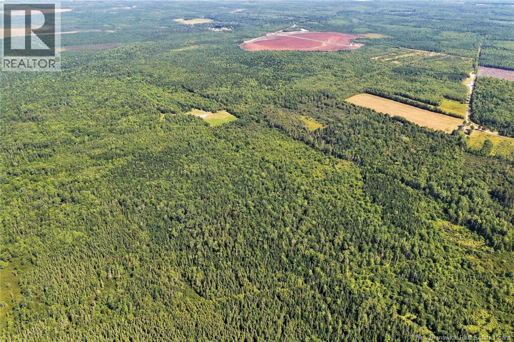 Lot Richard Road, Saint-Paul, New Brunswick  E4T 3T5 - Photo 17 - NB132061