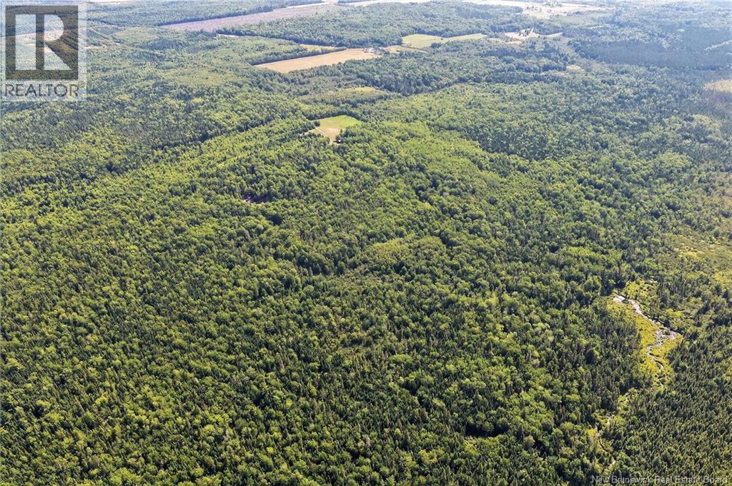 Lot Richard Road, Saint-Paul, New Brunswick  E4T 3T5 - Photo 24 - NB132061