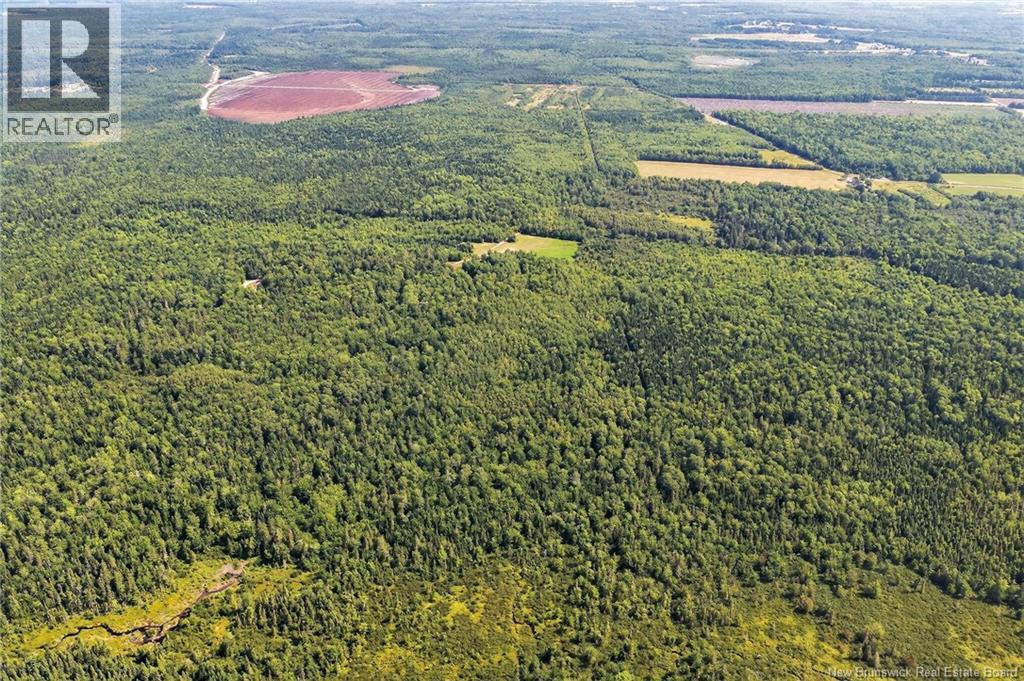 Lot Richard Road, Saint-Paul, New Brunswick  E4T 3T5 - Photo 21 - NB132061