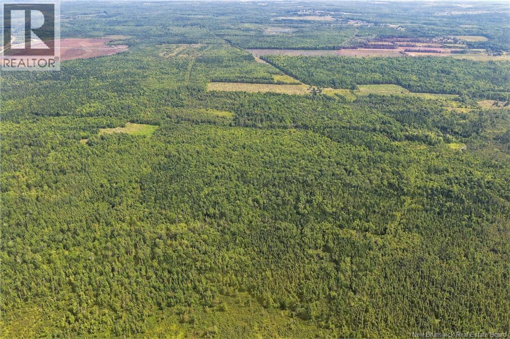 Lot Richard Road, Saint-Paul, New Brunswick  E4T 3T5 - Photo 20 - NB132061