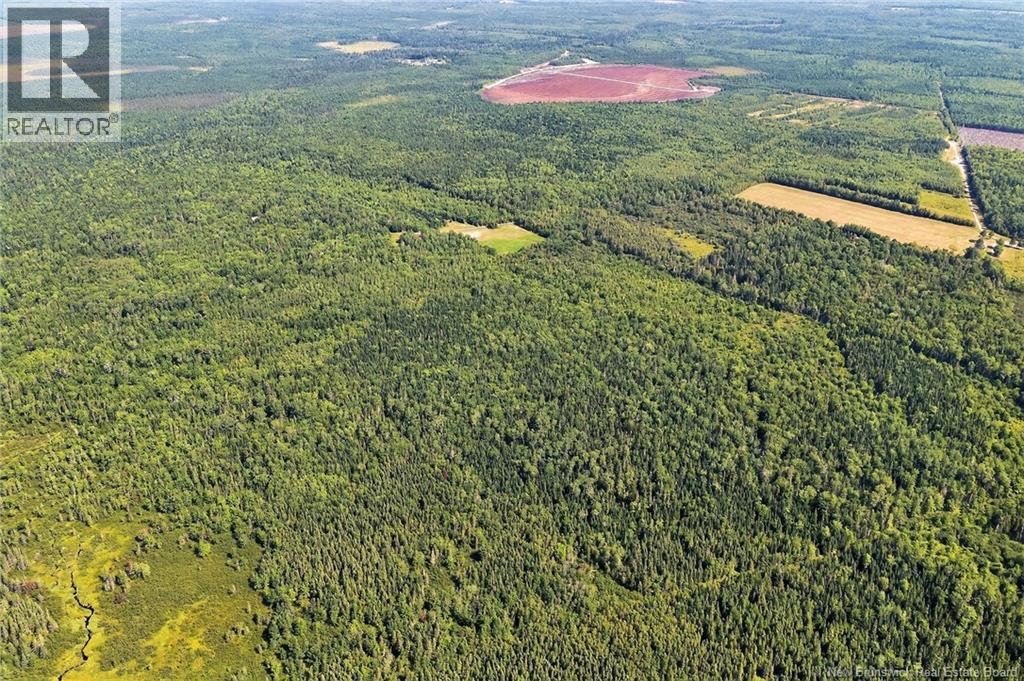 Lot Richard Road, Saint-Paul, New Brunswick  E4T 3T5 - Photo 18 - NB132061