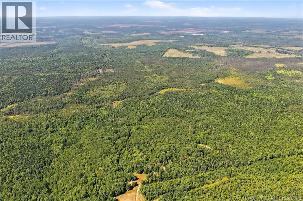Lot Richard Road, Saint-Paul, New Brunswick  E4T 3T5 - Photo 10 - NB132061