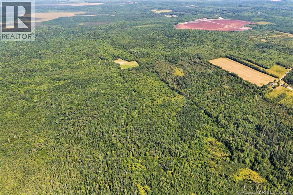Lot Richard Road, Saint-Paul, New Brunswick  E4T 3T5 - Photo 16 - NB132061