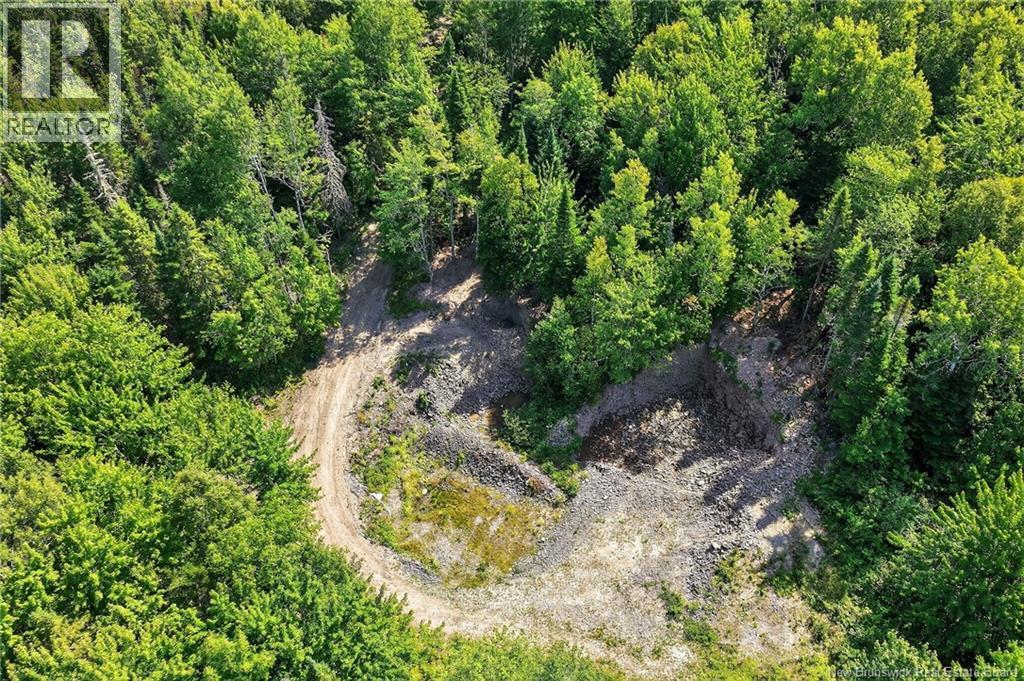 Lot Richard Road, Saint-Paul, New Brunswick  E4T 3T5 - Photo 7 - NB132061