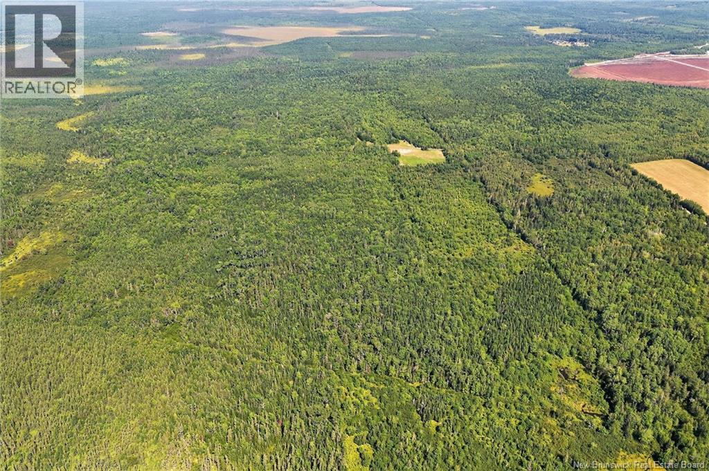 Lot Richard Road, Saint-Paul, New Brunswick  E4T 3T5 - Photo 15 - NB132061