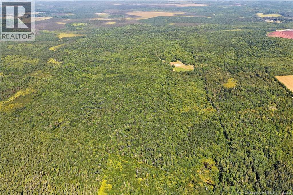 Lot Richard Road, Saint-Paul, New Brunswick  E4T 3T5 - Photo 14 - NB132061