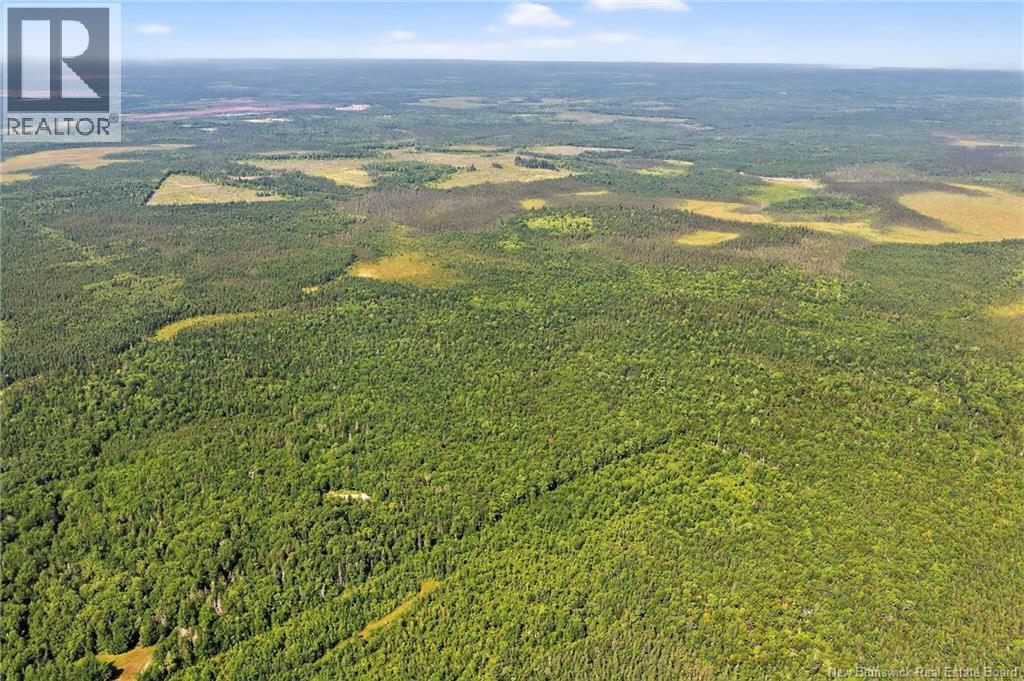 Lot Richard Road, Saint-Paul, New Brunswick  E4T 3T5 - Photo 11 - NB132061