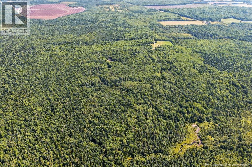 Lot Richard Road, Saint-Paul, New Brunswick  E4T 3T5 - Photo 23 - NB132061