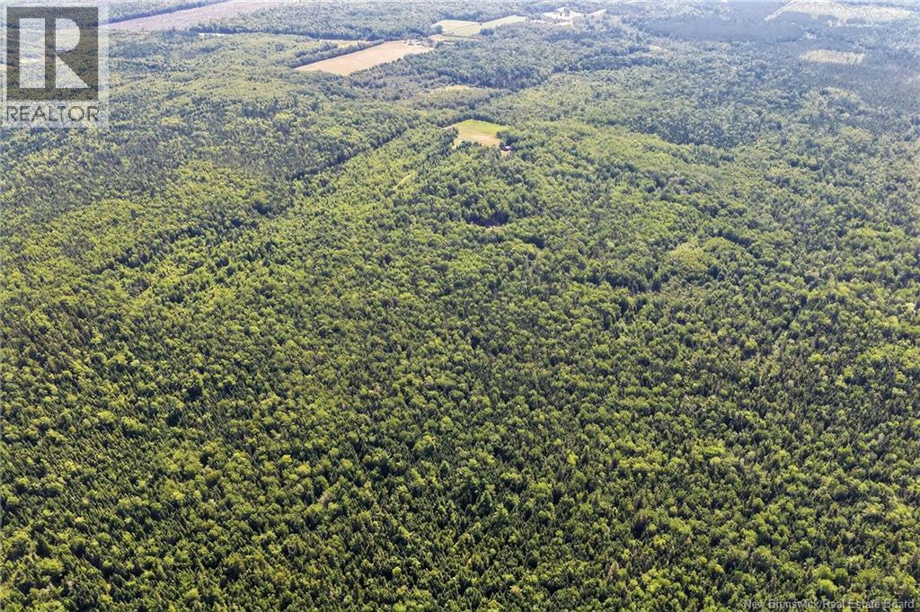 Lot Richard Road, Saint-Paul, New Brunswick  E4T 3T5 - Photo 25 - NB132061