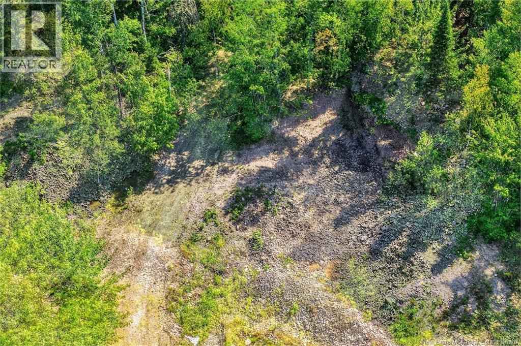 Lot Richard Road, Saint-Paul, New Brunswick  E4T 3T5 - Photo 8 - NB132061