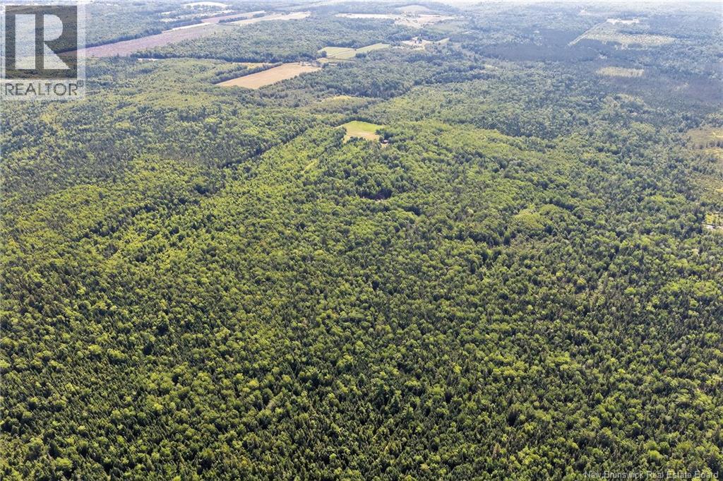 Lot Richard Road, Saint-Paul, New Brunswick  E4T 3T5 - Photo 26 - NB132061