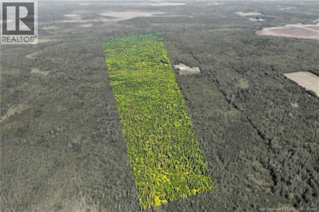 Lot Richard Road, Saint-Paul, New Brunswick  E4T 3T5 - Photo 27 - NB132061