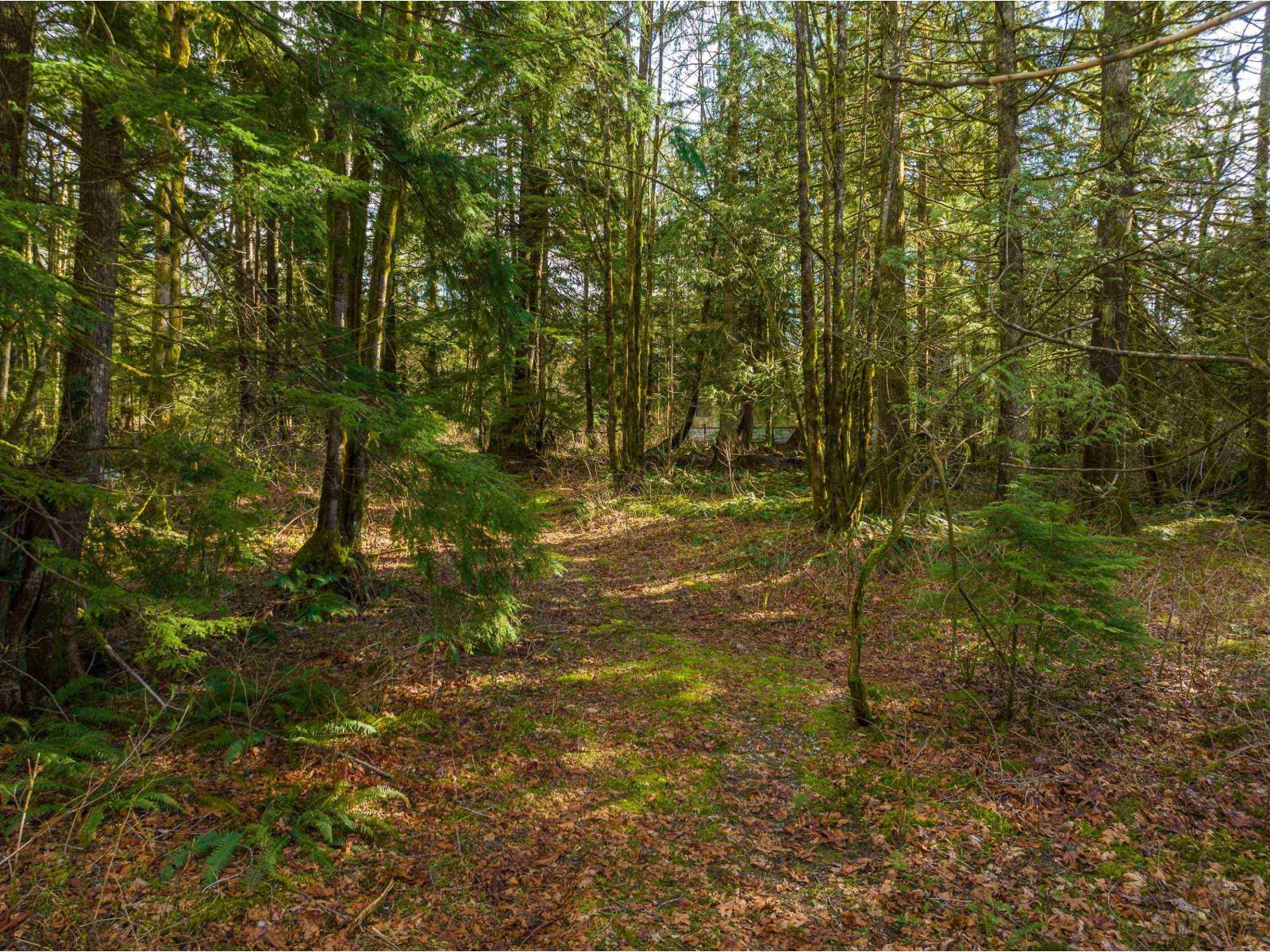 36161 Ridgeview Road, Mission, British Columbia  V2V 0B9 - Photo 2 - R3078933