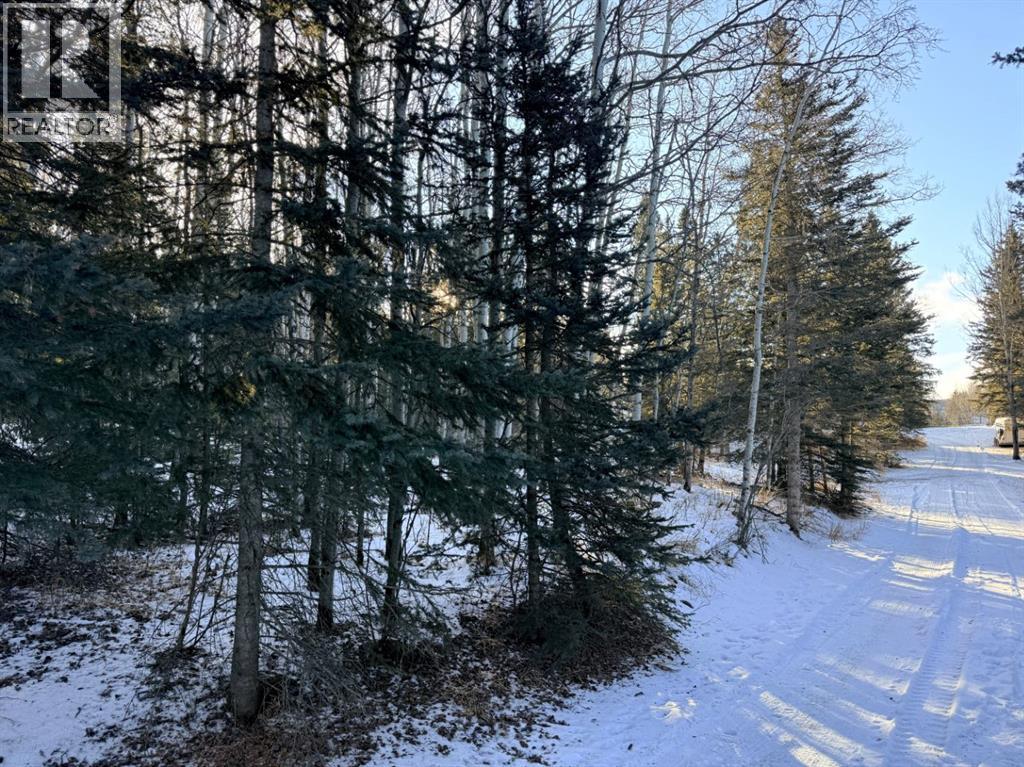 50109 Township Road 283, Rural Rocky View County, Alberta  T4C 1A1 - Photo 29 - A2275820